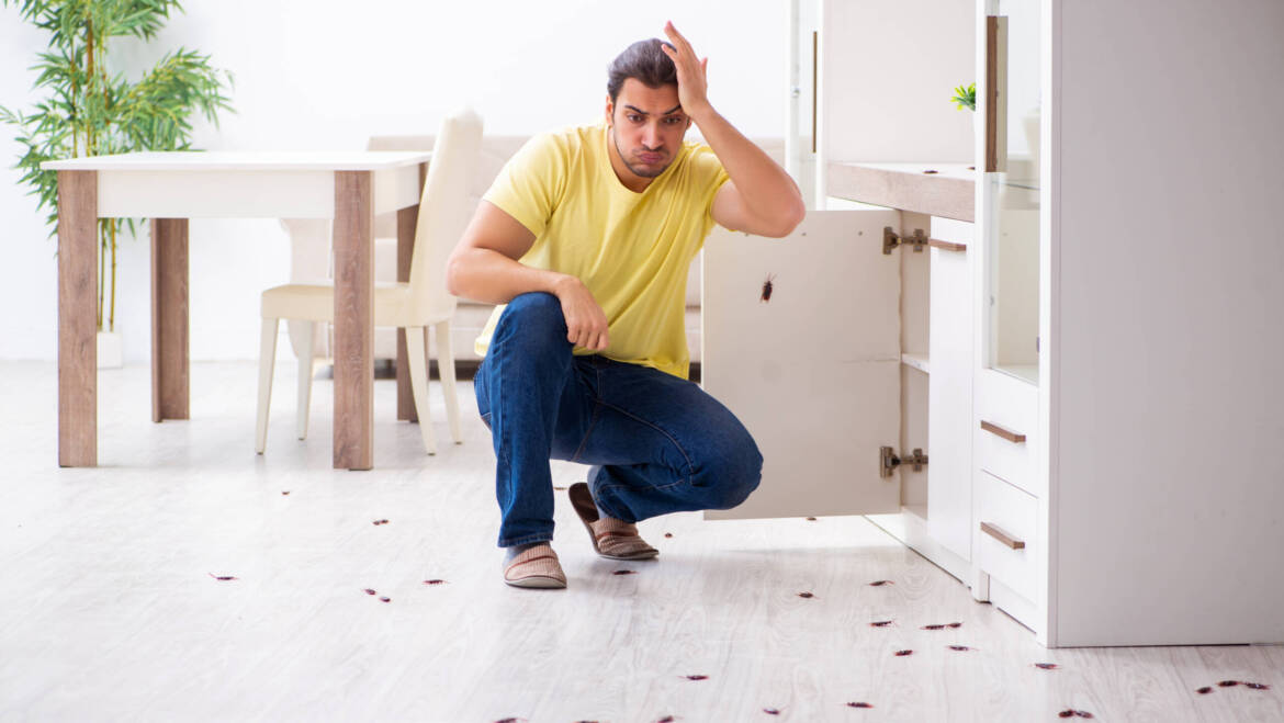 10 CONSEJOS COMO EVITAR CUCARACHAS EN TU CASA
