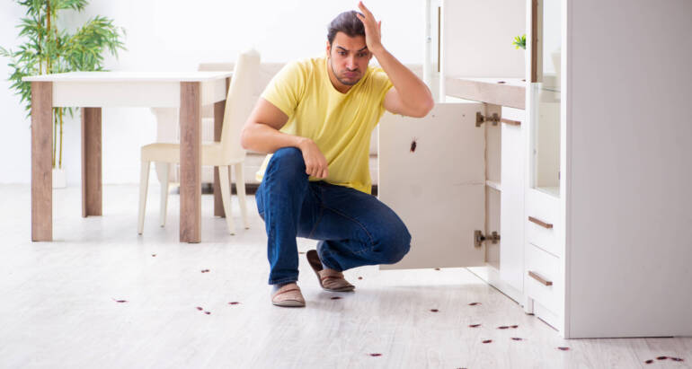 10 CONSEJOS COMO EVITAR CUCARACHAS EN TU CASA