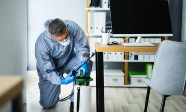 Control de plagas en EMPRESAS