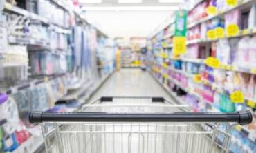 Control de plagas en COMERCIOS