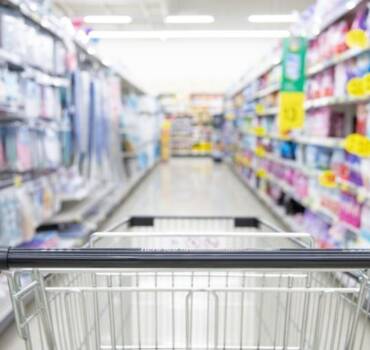 Control de plagas en COMERCIOS