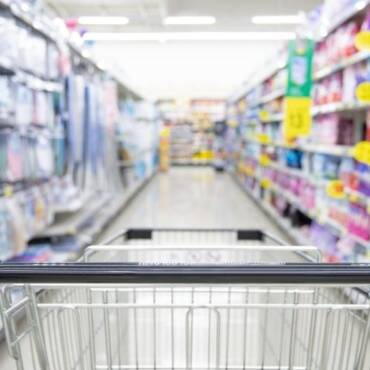 Control de plagas en COMERCIOS