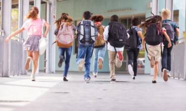 Control de plagas en COLEGIOS Y GUARDERIAS