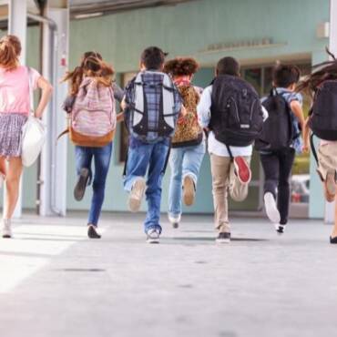 Control de plagas en COLEGIOS Y GUARDERIAS