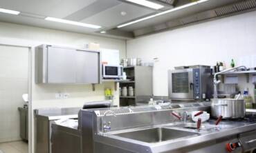 Control de plagas en HOSTELERIA