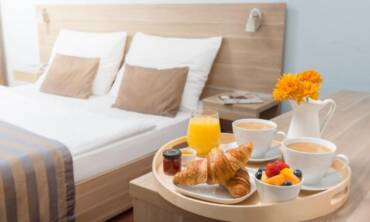 Control de plagas en HOTELES