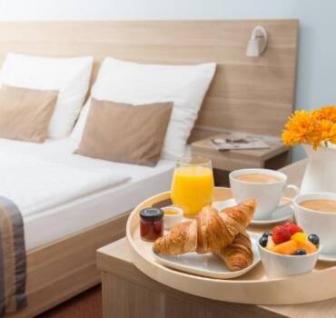 Control de plagas en HOTELES