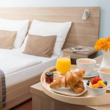 Control de plagas en HOTELES