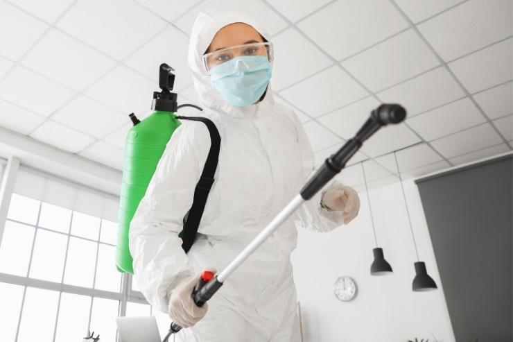 fumigaciones_en_madrid (2)